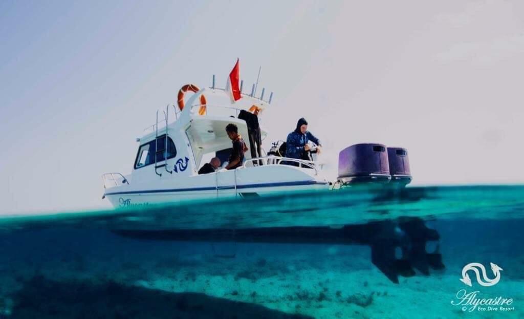 מאומרה Eco Dive Resort Alycastre מראה חיצוני תמונה